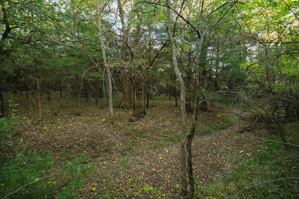 00000 W 391st Street — photo 42