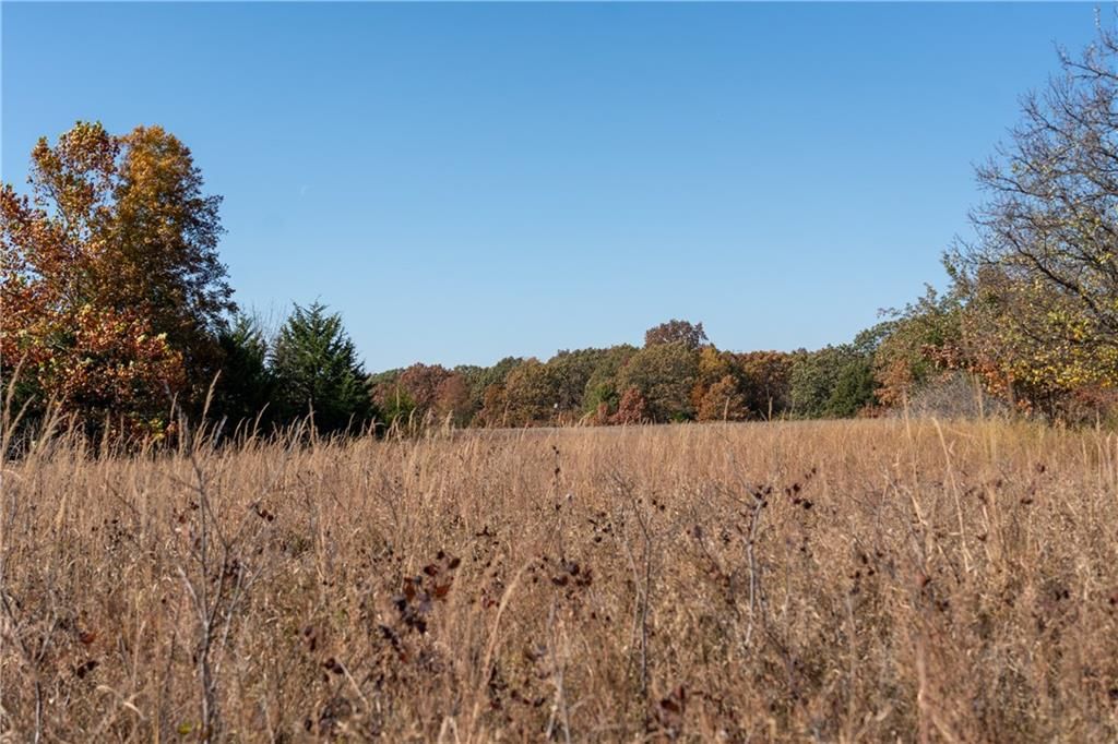 11201-11999 SE 700 Highway — photo 4