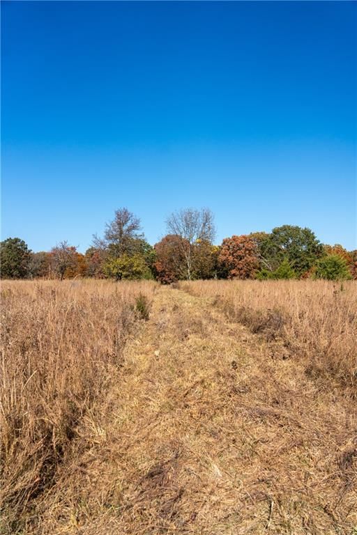 11201-11999 SE 700 Highway — photo 6
