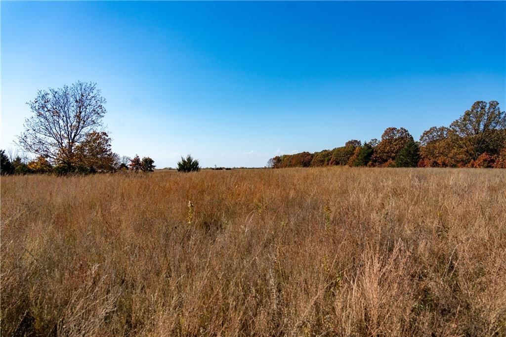 11201-11999 SE 700 Highway — photo 14