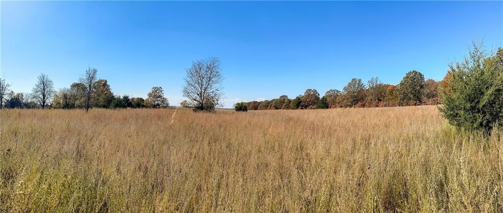 11201-11999 SE 700 Highway — photo 29