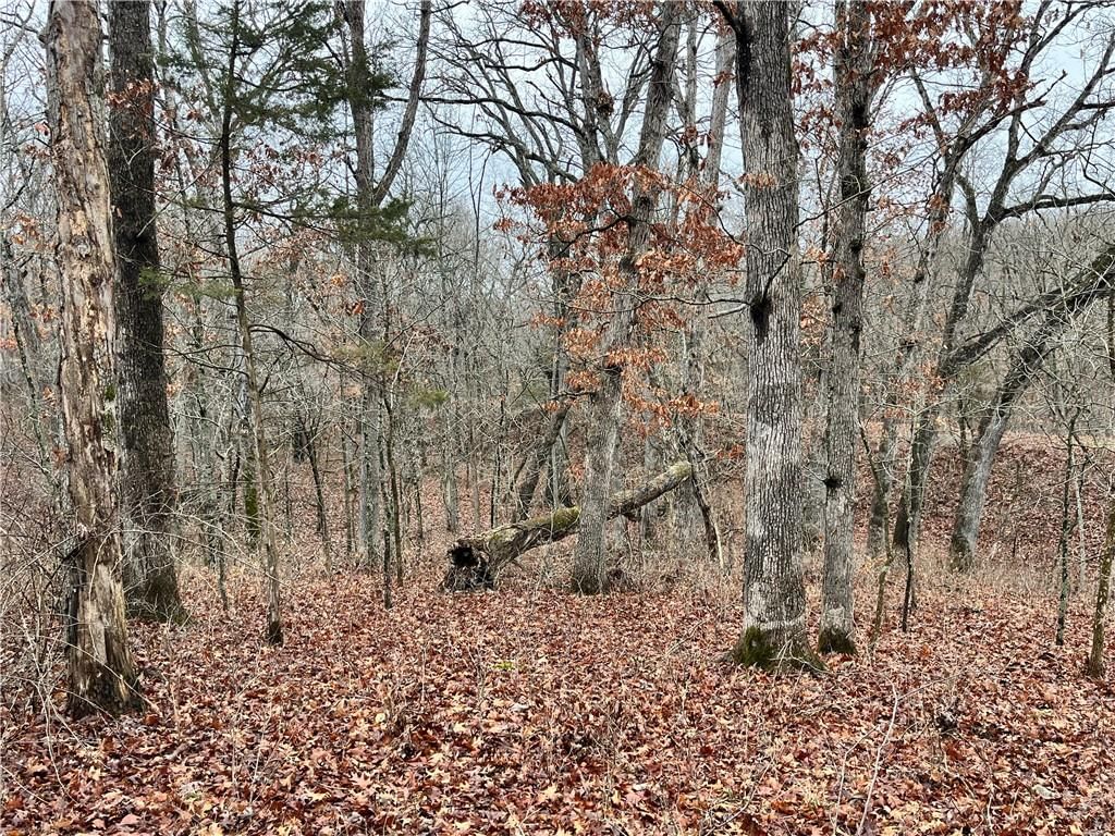 11201-11999 SE 700 Highway — photo 30