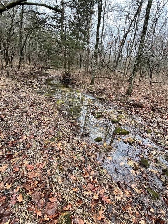 11201-11999 SE 700 Highway — photo 31