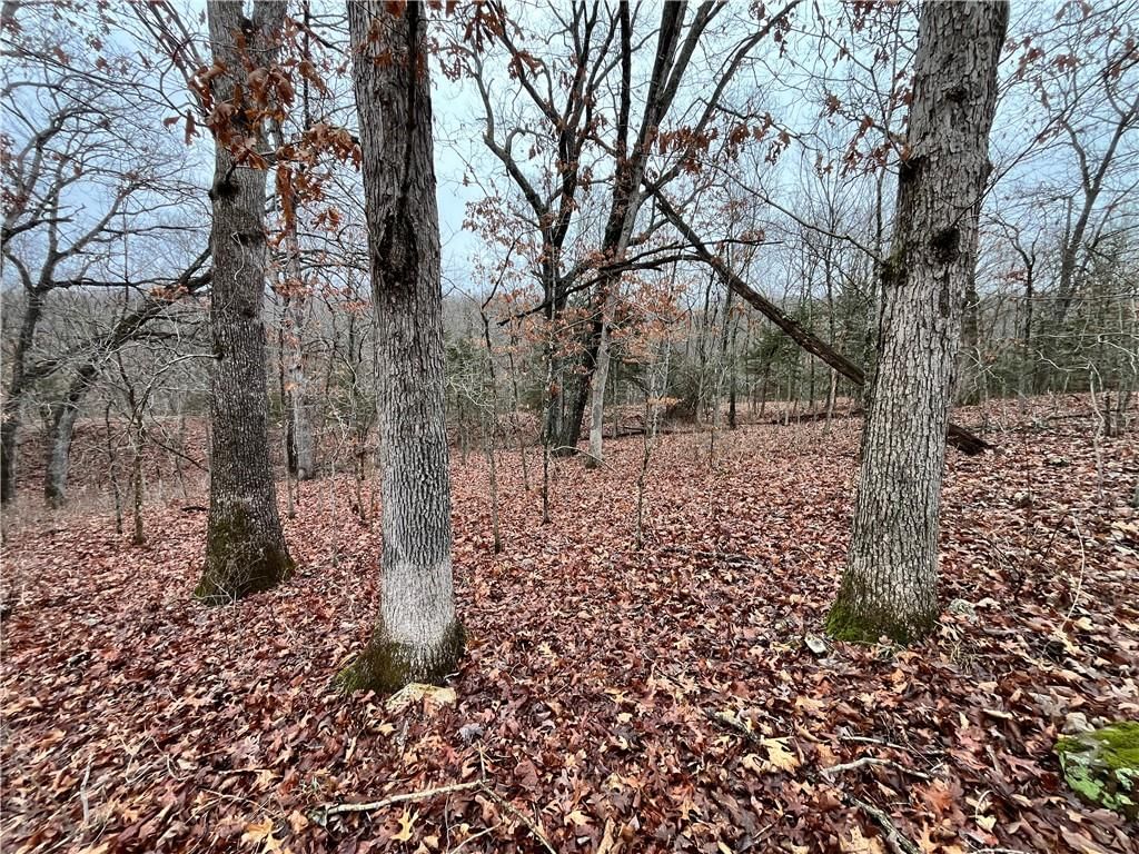 11201-11999 SE 700 Highway — photo 42