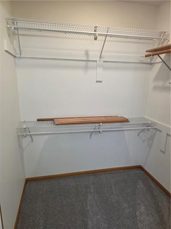 806 Ozark Shortline Street — photo 23