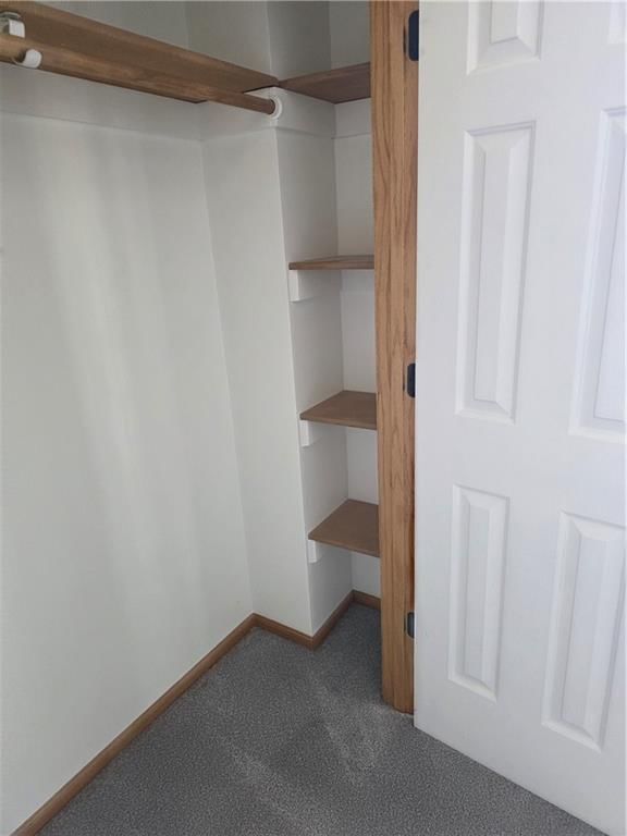 806 Ozark Shortline Street — photo 35