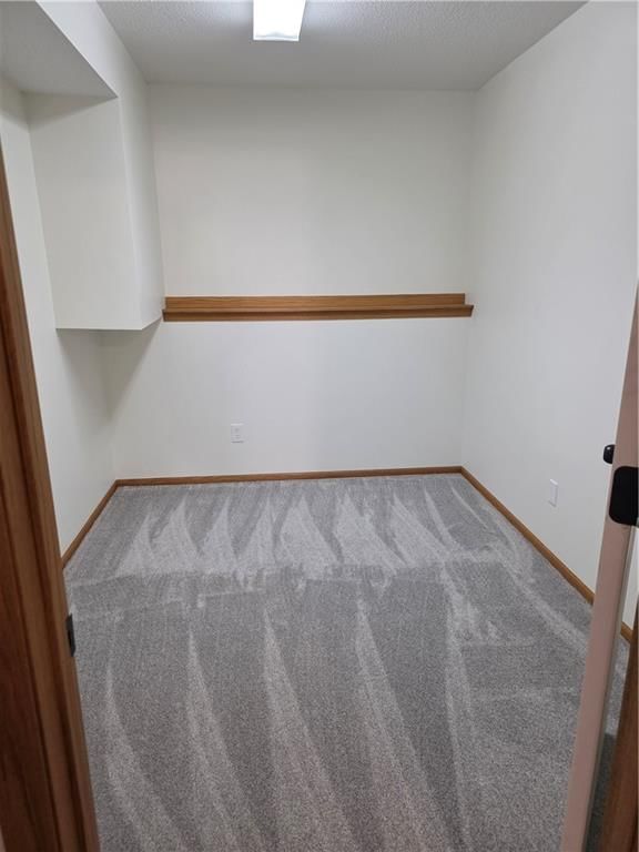 806 Ozark Shortline Street — photo 43