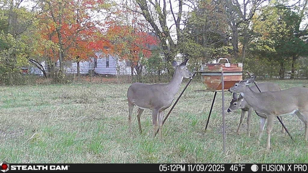 2617 N North Boulevard — photo 18