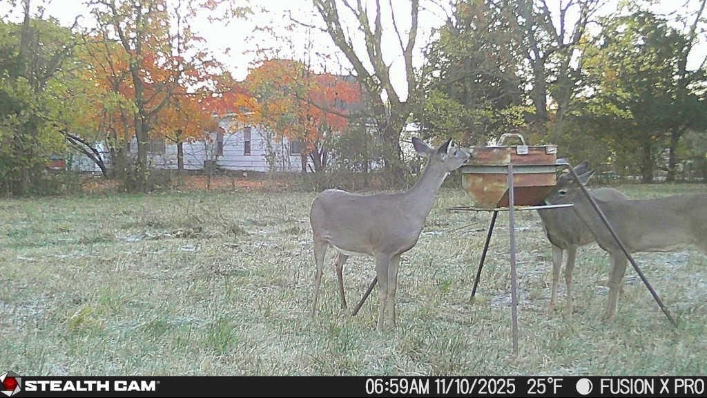 2617 N North Boulevard — photo 19