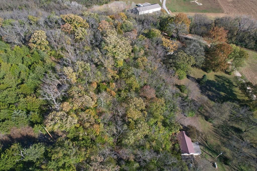 9263 Marion Road — photo 11