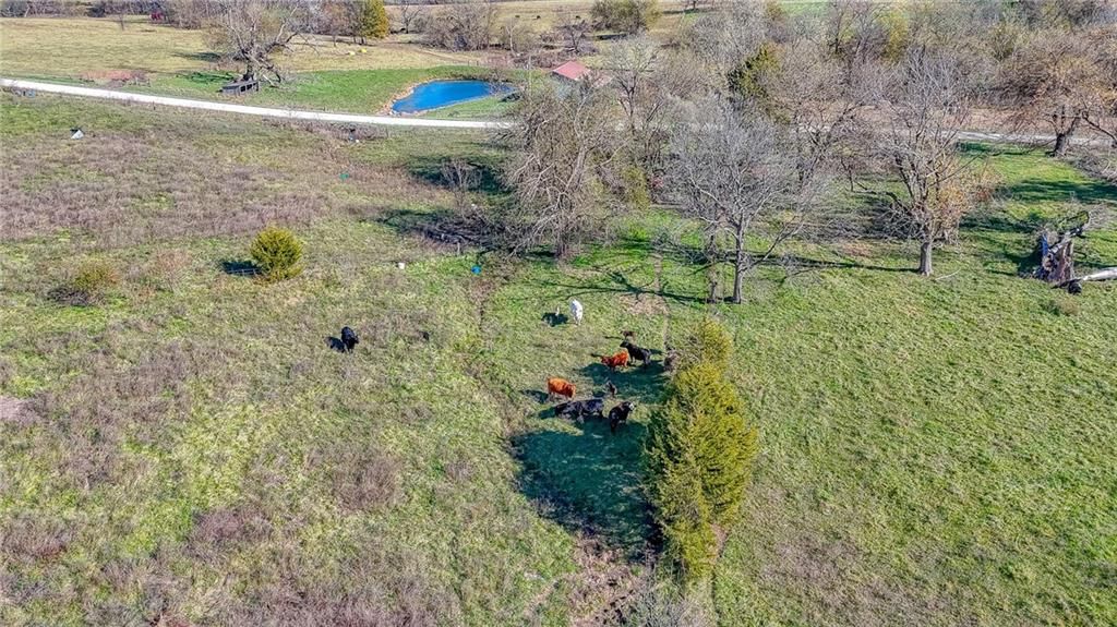342 SW 701st Road — photo 37