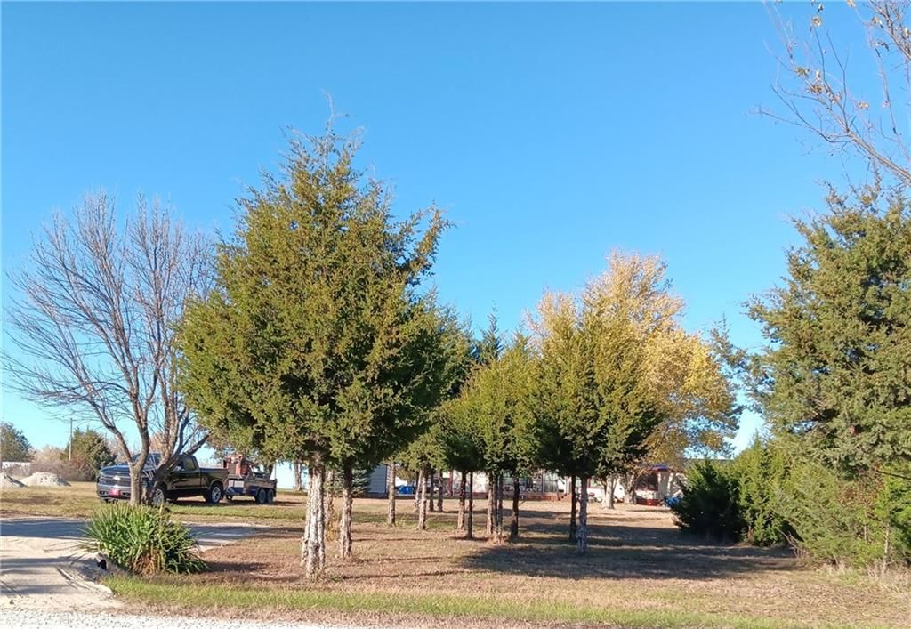 85 Silver Fox Trail — photo 4