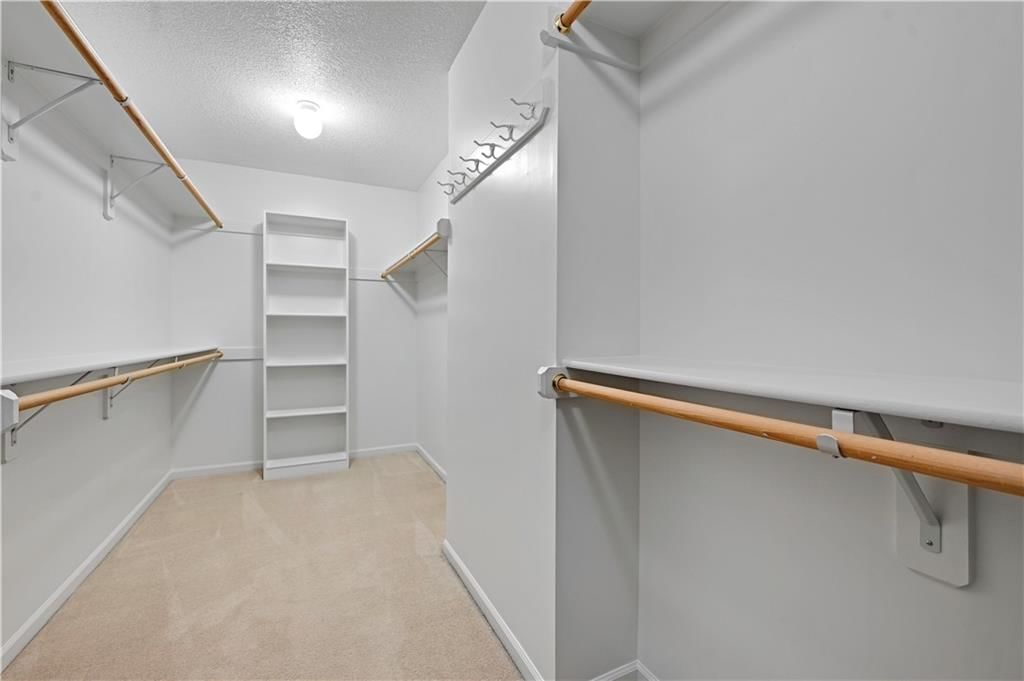 16241 Birch Street — photo 29