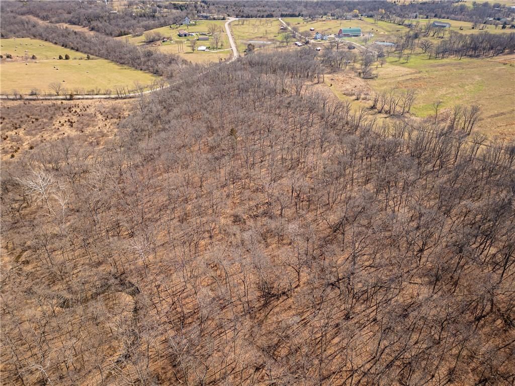 16018 Baxter Road — photo 8
