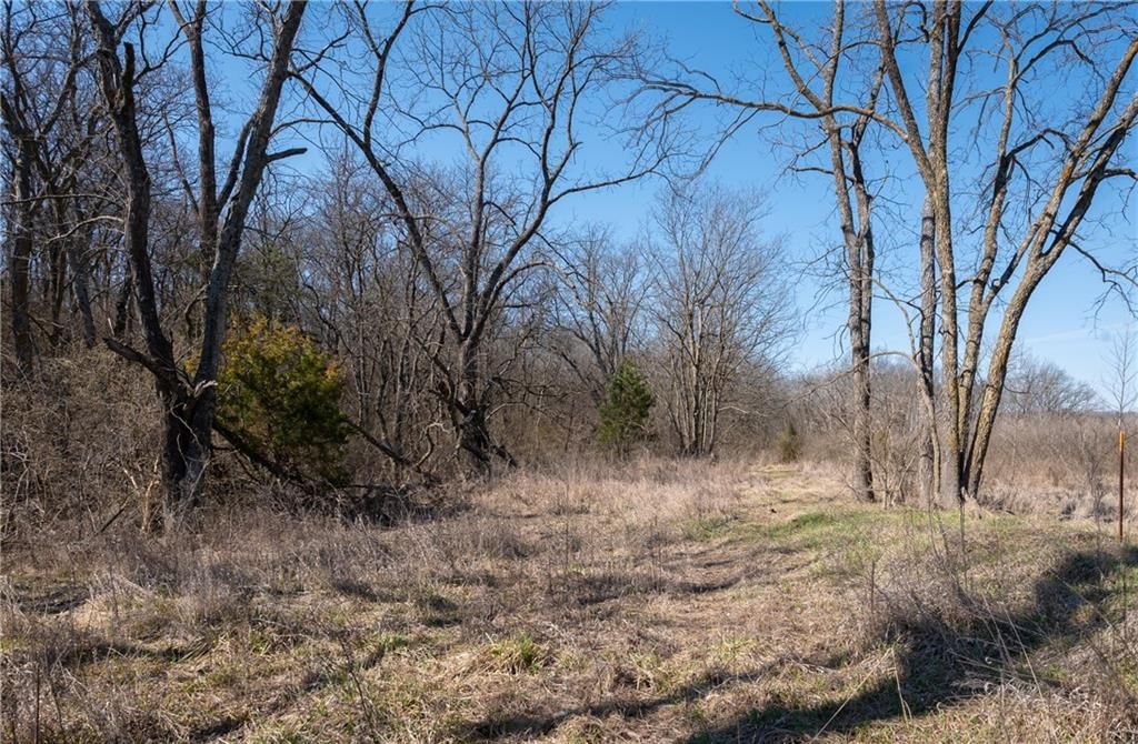 16018 Baxter Road — photo 11