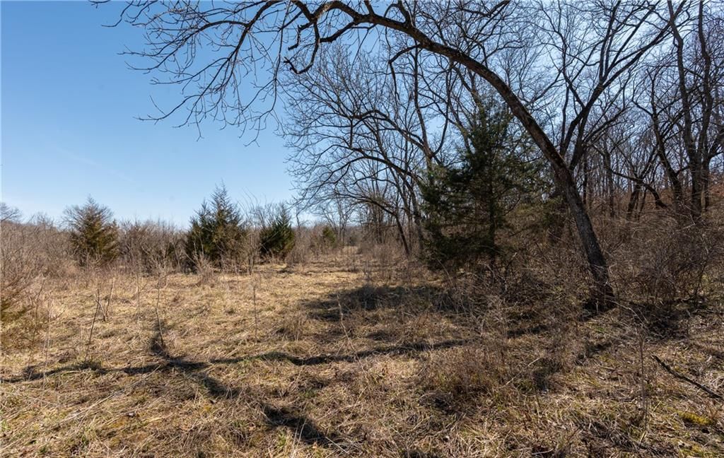 16018 Baxter Road — photo 12