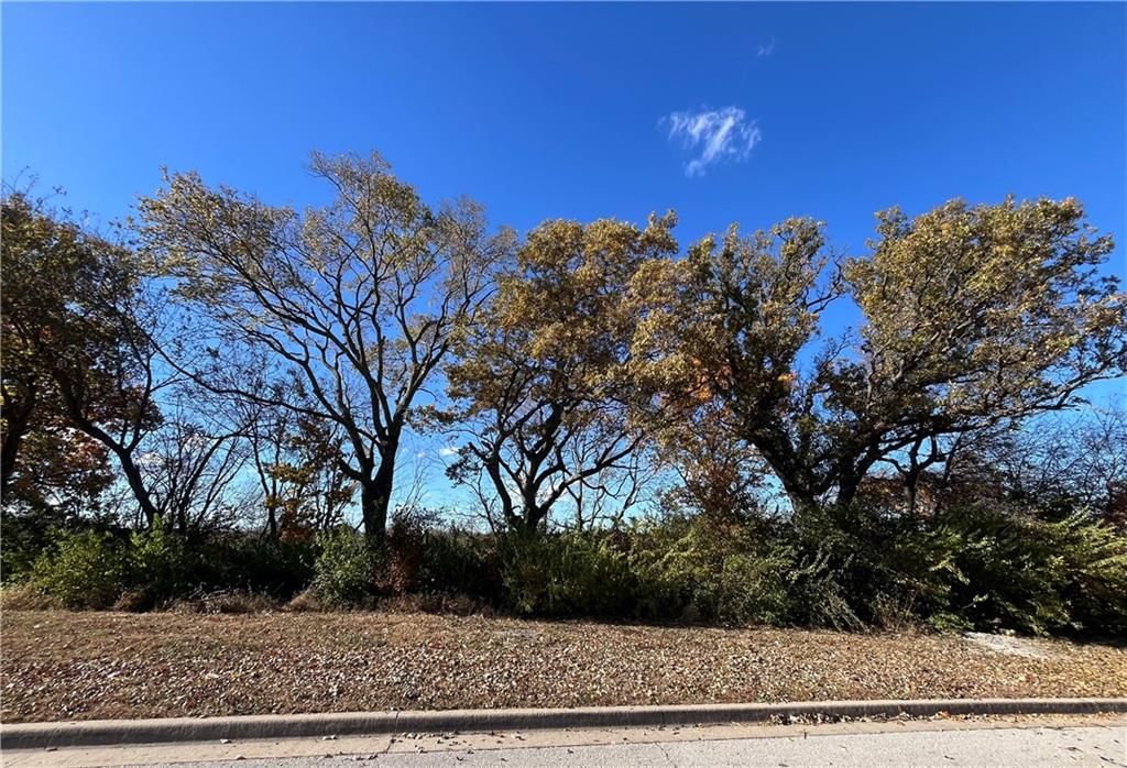 LOT 76 Ridge Road — photo 2