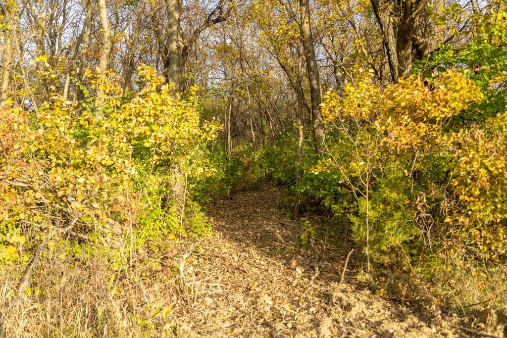 Tract C NW 375th Road — photo 14