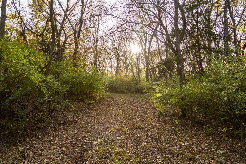 Tract C NW 375th Road — photo 15