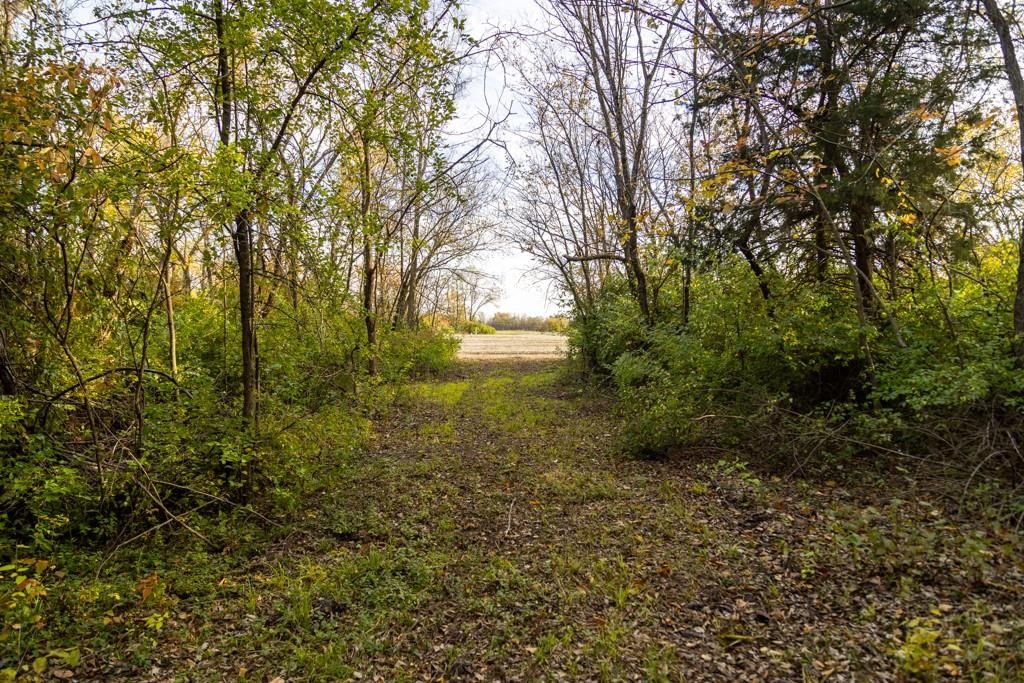 Tract C NW 375th Road — photo 16
