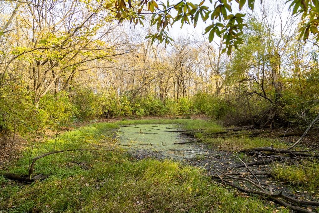 Tract C NW 375th Road — photo 17