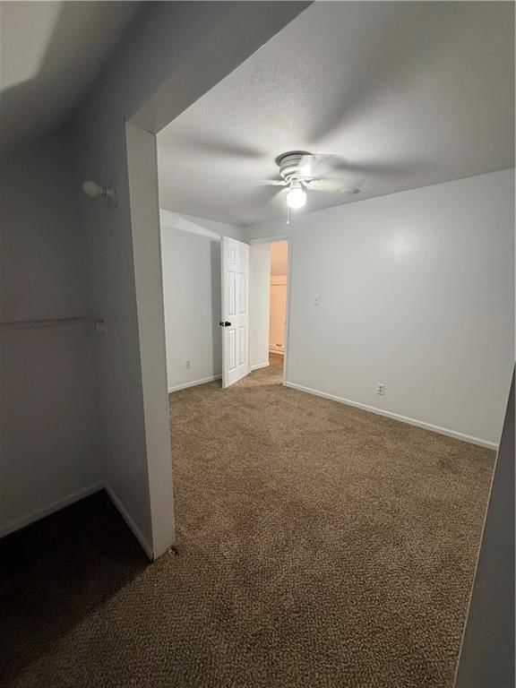 934 Williams Street — photo 15