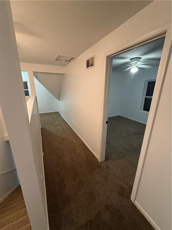 934 Williams Street — photo 17