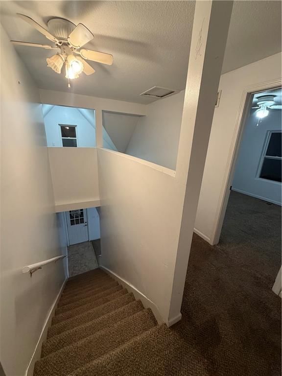 934 Williams Street — photo 18