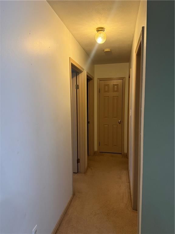 Photo 10 of 14 - 305 Gibson Street