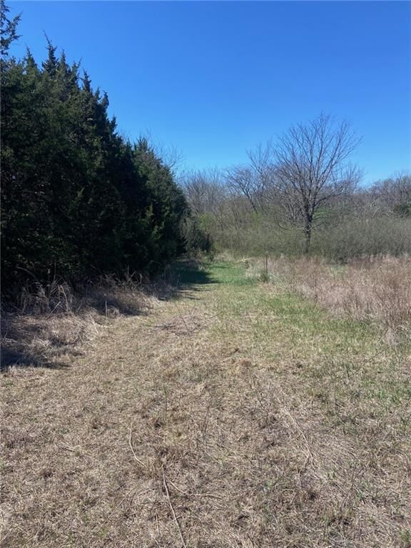 00000 Vacant  - Phillips Road — photo 3