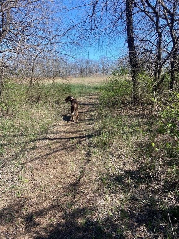 00000 Vacant  - Phillips Road — photo 4