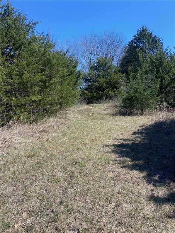 00000 Vacant  - Phillips Road — photo 5