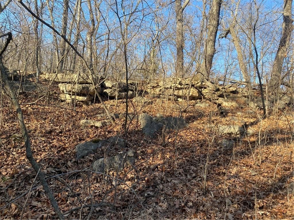 00000 Vacant  - Phillips Road — photo 7