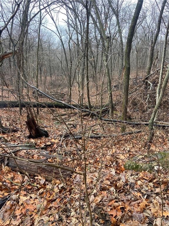 00000 Vacant  - Phillips Road — photo 14
