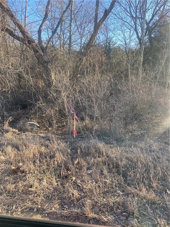 00000 Vacant  - Phillips Road — photo 15