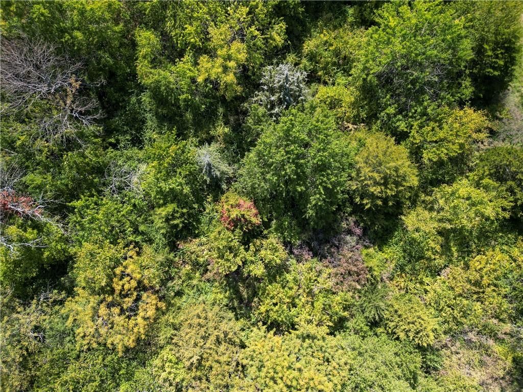 21017 S Ratner Road — photo 47