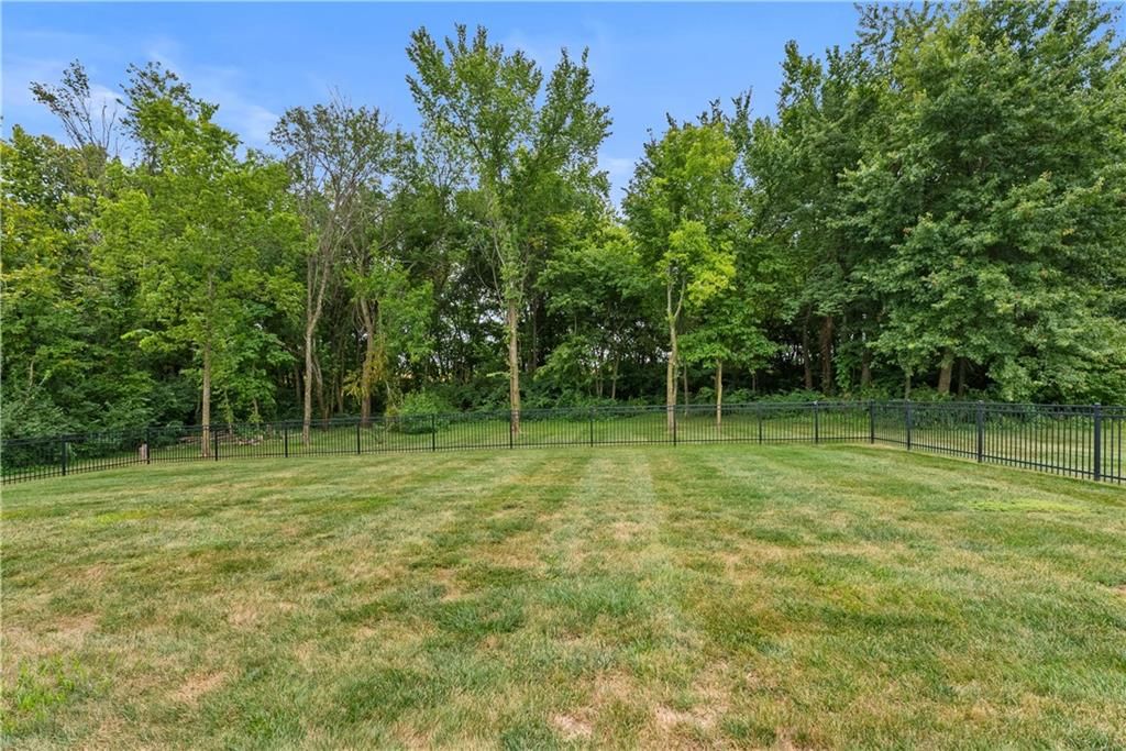 11003 Nora Dodge Drive — photo 49