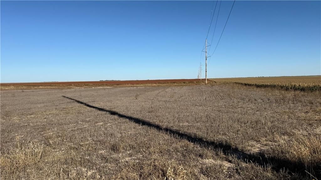 Gray County 24 Road — photo 2