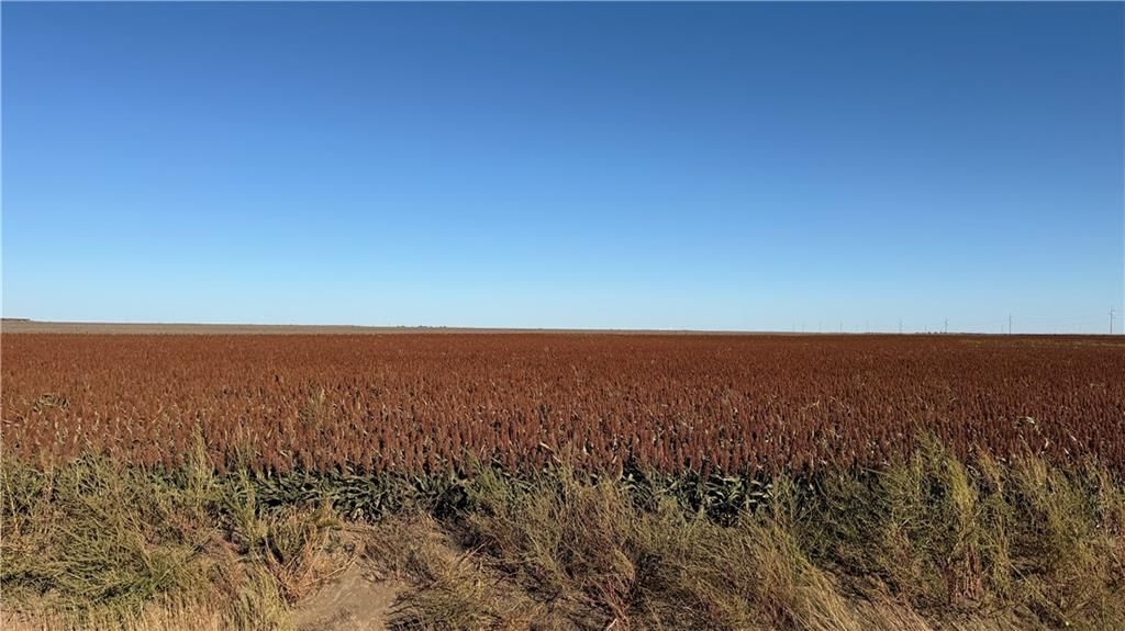Gray County 24 Road — photo 4