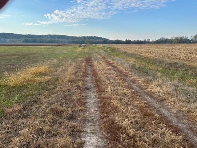 20 Acres M/L N 1000 Road — photo 21