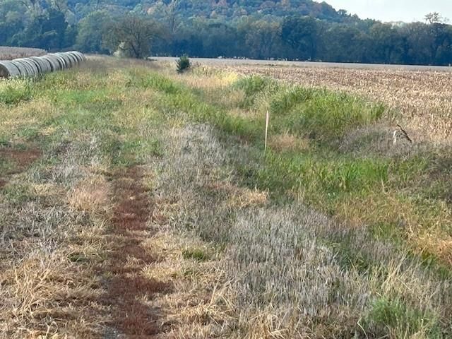20 Acres M/L N 1000 Road — photo 22