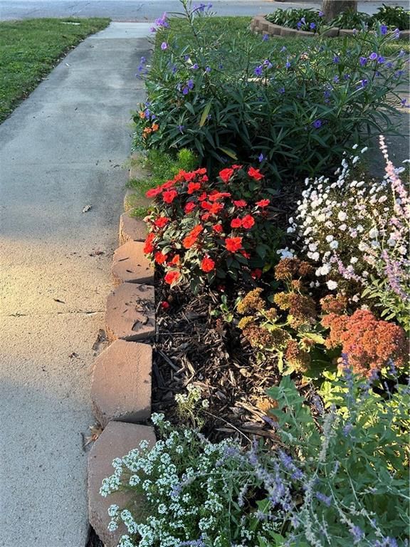 402 N Leonard Street — photo 57
