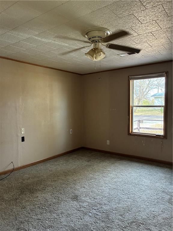 216 E Jackson Street — photo 14