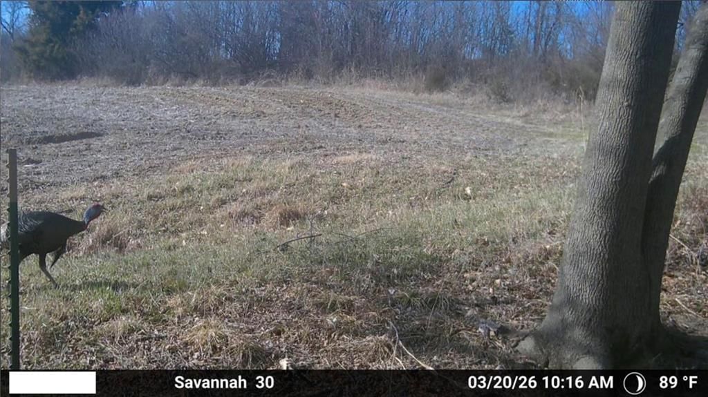 432 Road — photo 6