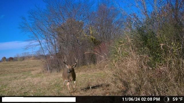 432 Road — photo 29