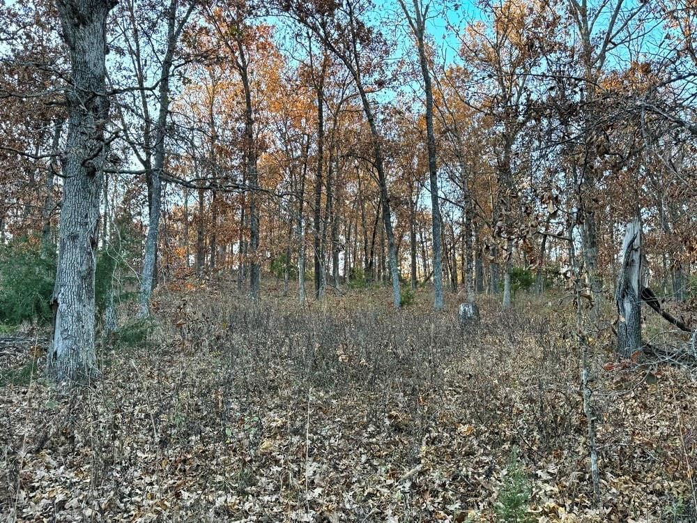 TBD S 525 Road — photo 17