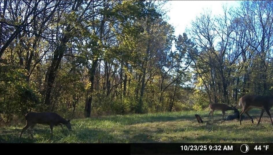 16707 S Groll Road — photo 44