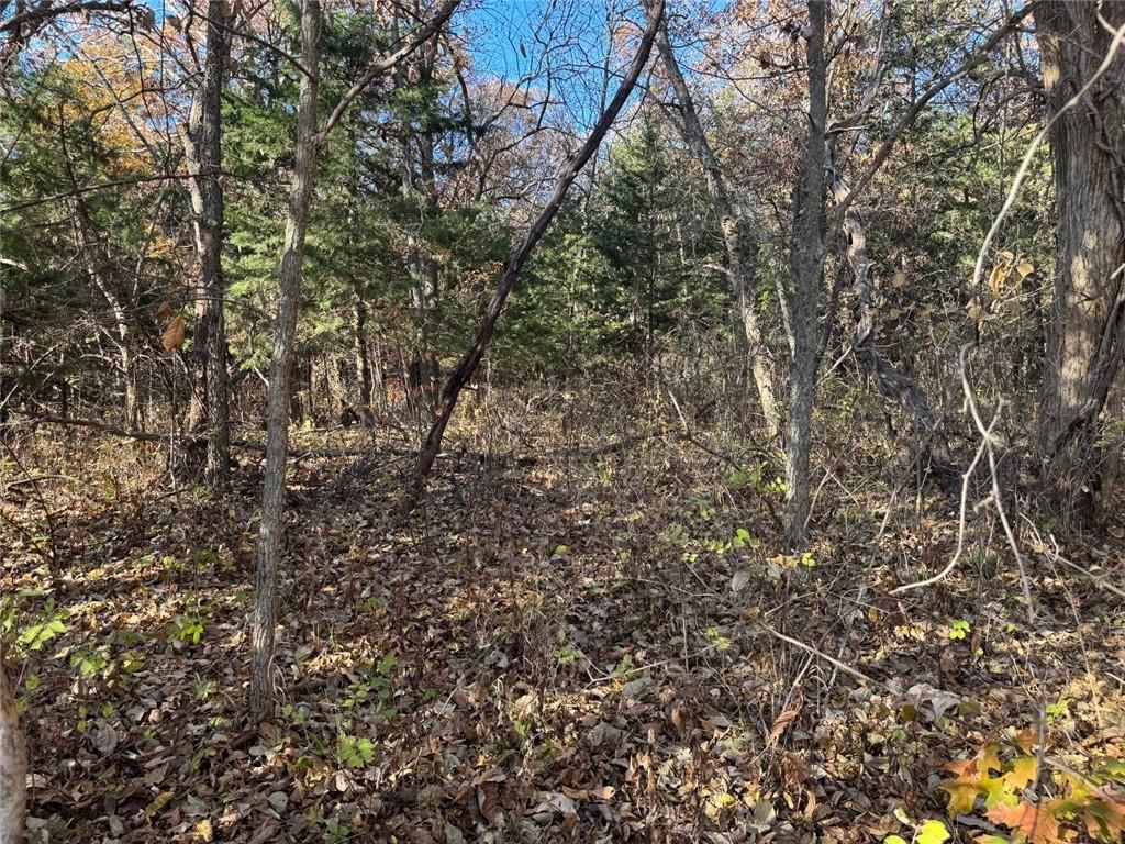 TBD Sate Highway 13 Highway — photo 15