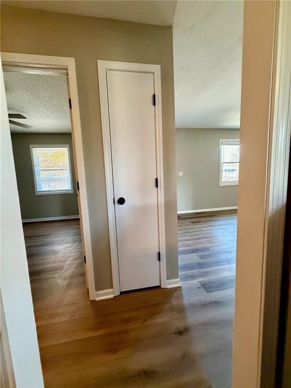 406 Chapel Road — photo 25