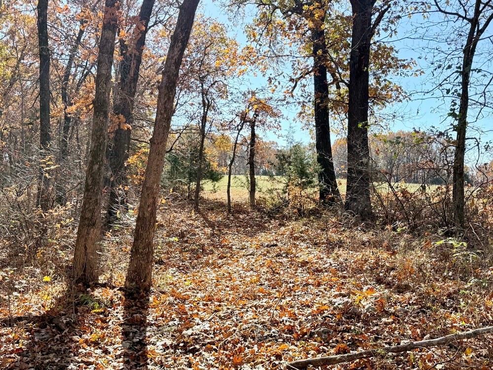 TBD S J Highway — photo 42